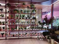 -二酉书店TOYOU BOOKS