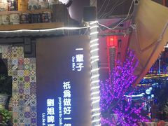 -刘姐啤酒鱼民族演艺餐厅(西街总店)