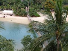 -巴拉湾海滩