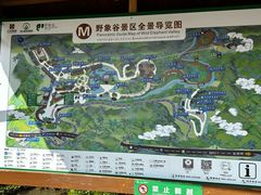 -野象谷景区