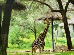 -北京野生动物园