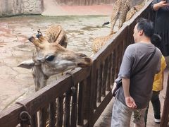 -长鹿旅游休博园