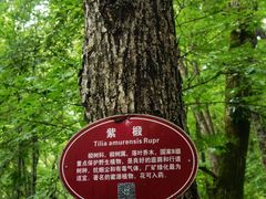 -茅兰沟国家森林公园