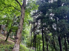 -莫干山风景区