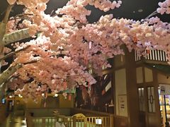 -大江户·温泉洗浴(浑南店)