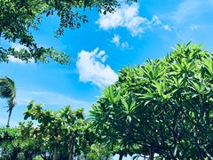 -三亚亚龙湾天域度假酒店