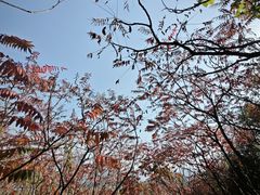 -益康盲人推拿按摩(长虹店)