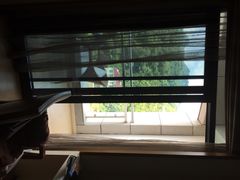麓苑国际大酒店-斯瑞特国际酒店