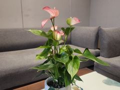-济南南辛庄地铁站银座佳悦酒店