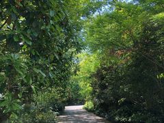 -九府羊·鲜羊火锅·烤串(新华路店)