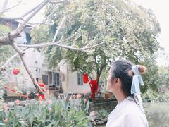 -小洲村