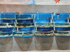 -蓝珊甄选海鲜自助·火锅大排档(近阿那亚店)
