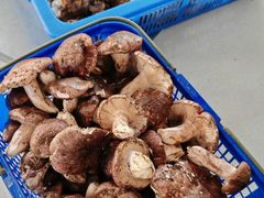 -野菌王牦牛肉汤锅