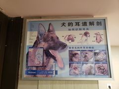 -爱侣·安琦尔宠物医院·中兽医针灸·心内科·狂犬免疫点(宝山区院)
