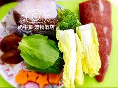 加餐主材-奶牛家宠物酒店(嘉宏云顶店)