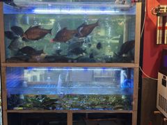 -老街烧烤大排档·地道湖北菜·龙虾馆(汉口火车站店)