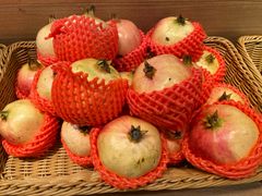 -金鼎轩(阜成门店)