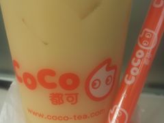 柠檬椰果益菌多-CoCo都可(西安路民勇店)
