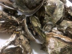 -张家卫·阳江菜·小海鲜(肥婆湾桥店)