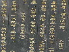 -洛阳市隋唐城遗址植物园