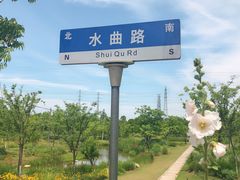 -上海长兴岛郊野公园