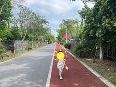 -上海长兴岛郊野公园