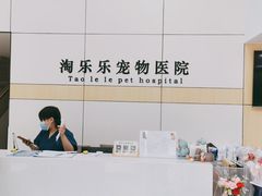 -凯瑞希宠物医院·狂犬免疫·微创·皮肤科