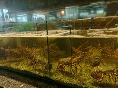 -Isla Sugbu Seafood City
