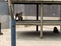 -上方山森林动物世界