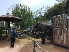 -大连森林动物园