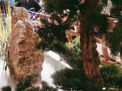 -红蜡烛-养生粥-津鲁菜(中山路店)