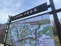 -盐城丹顶鹤湿地生态旅游区