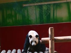 -杭州野生动物世界