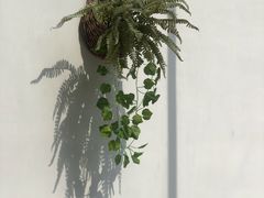 -聚春园驿馆(福州三坊七巷店)