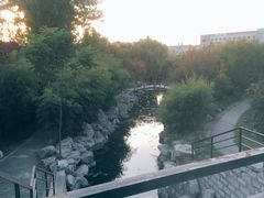 -山东艺术学院(长清校区)