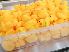 -LINLEE林里·手打柠檬茶(普陀新邻天地店)