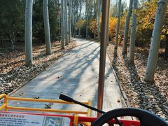 -森林公园(尖草坪区)