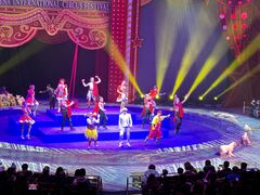 -珠海横琴长隆《卡卡虎奇遇记》