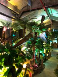 点击看大图 -恐龙探索乐园(磁器口店)