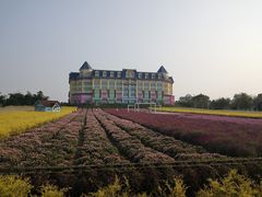 -百万葵园