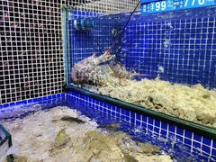 -青蓬蒸汽海鲜·深圳老字号·团建聚会(壹方城店)