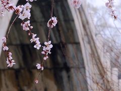 -颐和园