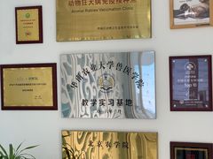 -北京观赏动物医院·24小时大型综合·猫专科·异宠专科