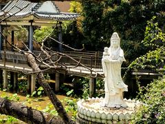 -长洲岛