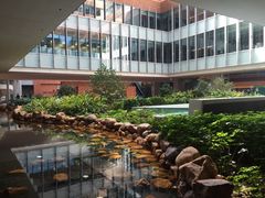 -香港大学