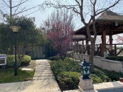 -苏州湾王焰温泉度假酒店