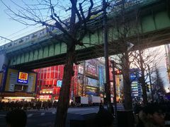 -秋叶原电器街