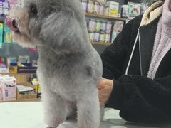 -总动员动物医院(宝丰院店)