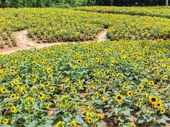 -新竹里馆·花园餐厅(兴苑路店)