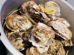 -千岛蚝高压锅生蚝·人参火锅(白云万达店)